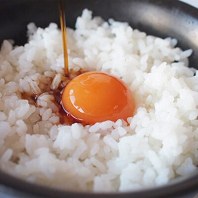 【定期便】12ヵ月連続お届け　美ら卵養鶏場の卵　各月120個