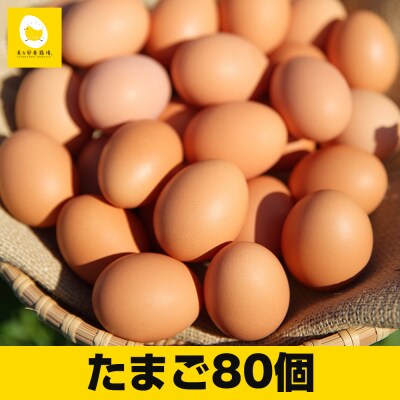 卵の黄身が掴めるほどの新鮮さ 美ら卵養鶏場の卵【80個入り】