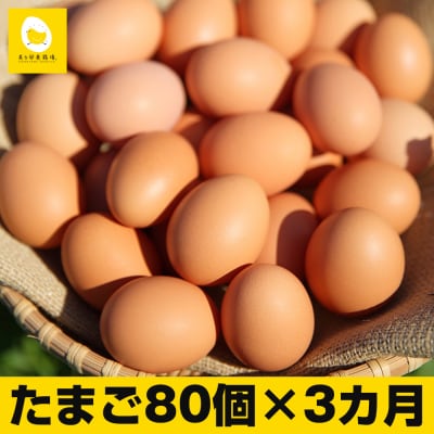 【定期便】3ヵ月連続お届け 卵の黄身が掴めるほどの新鮮さ 美ら卵養鶏場の卵 各月80個