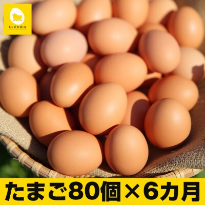 【定期便】6ヵ月連続お届け 卵の黄身が掴めるほどの新鮮さ 美ら卵養鶏場の卵 各月80個