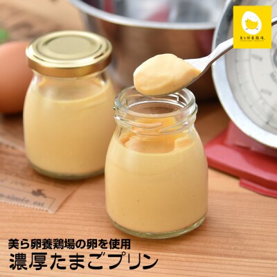 美ら卵養鶏場の卵を使用「濃厚たまごプリン」76g×8個入り