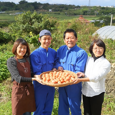美ら卵養鶏場　卵にこだわった「台湾カステラ」3台入り