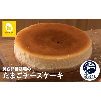 美ら卵養鶏場のたまごチーズケーキ