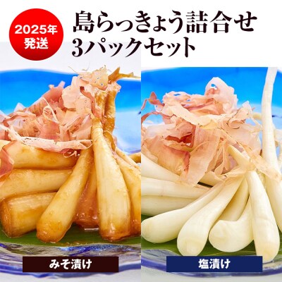 【2025年発送】島らっきょう詰合せ3パックセット　(塩漬け2パック、みそ漬け1パック)