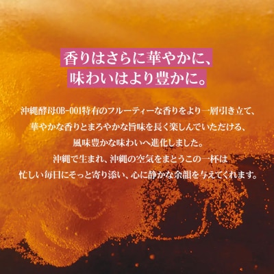 オリオンビール　オリオン ザ・プレミアム(500ml×24缶)
