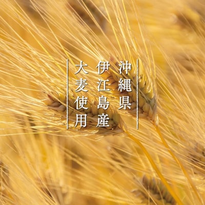 オリオンビール　ザ・ドラフト　ギフトセット(350ml×12缶)