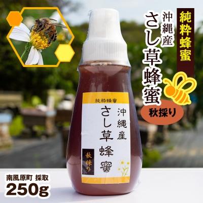 純粋蜂蜜　沖縄産　さし草蜂蜜　秋採り　250g　南風原町採取