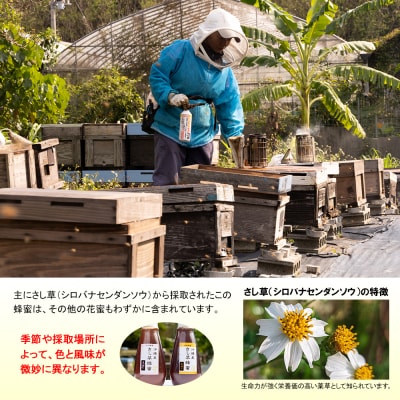 純粋蜂蜜　沖縄産　さし草蜂蜜　秋採り　250g×2本　南風原町採取