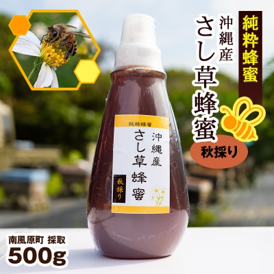 純粋蜂蜜　沖縄産　さし草蜂蜜　秋採り　500g　南風原町採取