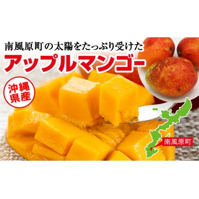 【2027年発送】濃厚なアーウィンマンゴー1.5kg 家庭用