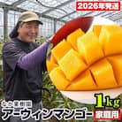 【2026年発送】なか果樹園　家庭用　アーウィンマンゴー1kg