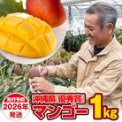 【2026年発送】芳醇な香り　とろける食感　沖縄県「優秀賞」マンゴー1kg