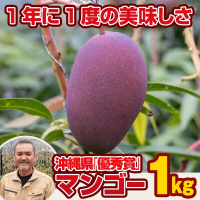 【2026年発送】芳醇な香り　とろける食感　沖縄県「優秀賞」マンゴー1kg