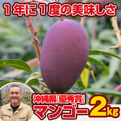 【2026年発送】芳醇な香り　とろける食感　沖縄県「優秀賞」マンゴー2kg