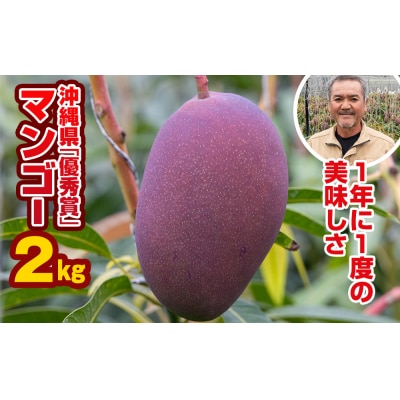【2027年発送】芳醇な香り とろける食感 沖縄県「優秀賞」マンゴー2kg