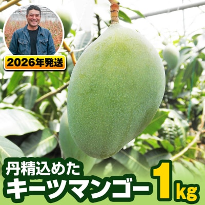 【2026年発送】南風原農園　丹精込めた「キーツマンゴー」1kg