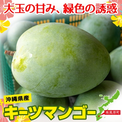 【2026年発送】南風原農園　丹精込めた「キーツマンゴー」1kg