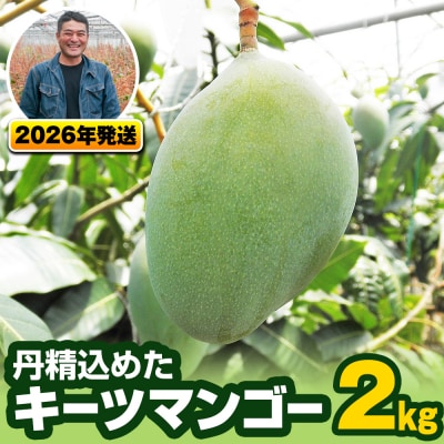【2026年発送】南風原農園　丹精込めた「キーツマンゴー」2kg
