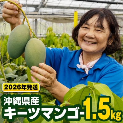 【2026年発送】沖縄県産キーツマンゴー1.5kg