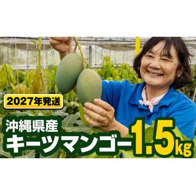 【2027年発送】沖縄県産キーツマンゴー1.5kg