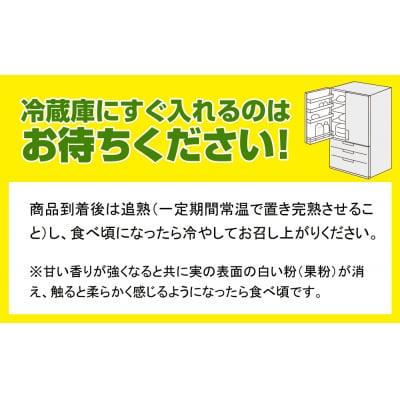 【2027年発送】沖縄県産キーツマンゴー1.5kg