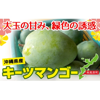 【2027年発送】沖縄県産キーツマンゴー1.5kg