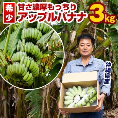 【希少】甘さ濃厚もっちりアップルバナナ3kg