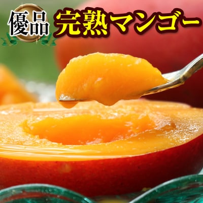 【2026年発送】「優品」丹精込めた完熟マンゴー1.5kg　3玉～5玉