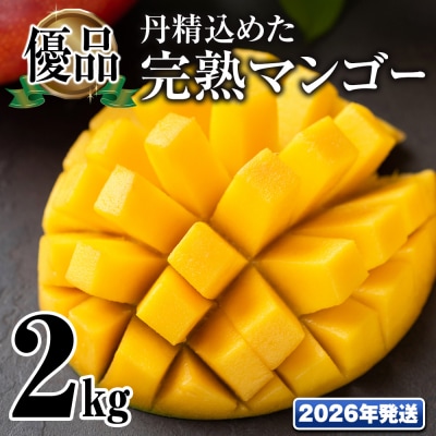 �y2026�N�����z�u�D�i�v�O�����߂����n�}���S�[2kg�@4�ʁ`6��