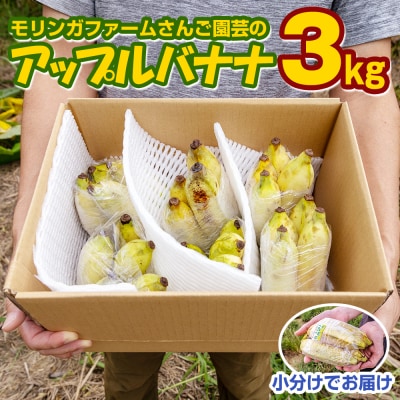 �y�������z�������K�t�@�[�����񂲉��|�̃A�b�v���o�i�i3kg