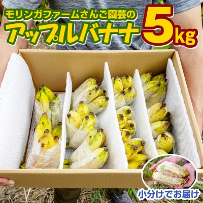 �y�������z�������K�t�@�[�����񂲉��|�̃A�b�v���o�i�i5kg