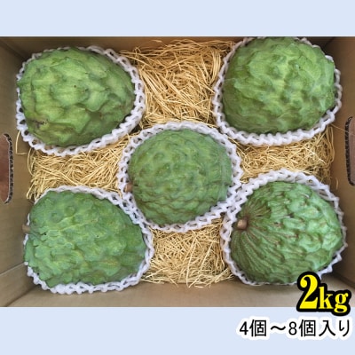 【2025年12月中旬から順次発送】アテモヤ 2kg “森のアイスクリーム”