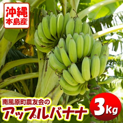 【希少】沖縄本島産 南風原町農友会の「アップルバナナ」　3kg