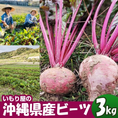 【2026年発送】いもり屋の沖縄県産ビーツ　3kg