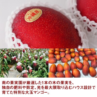 【2026年発送】南の果実園　【贈答用・化粧箱】完熟大玉マンゴー1kg　3Lサイズ2玉　贈答用化粧箱