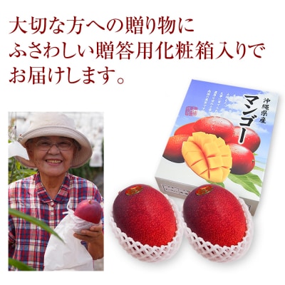 【2026年発送】南の果実園　【贈答用・化粧箱】完熟大玉マンゴー1kg　3Lサイズ2玉　贈答用化粧箱