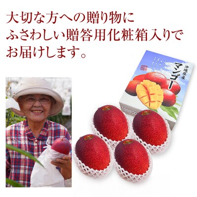 【2026年発送】南の果実園　【贈答用・化粧箱】完熟大玉マンゴー2kg　3Lサイズ4玉　贈答用化粧箱