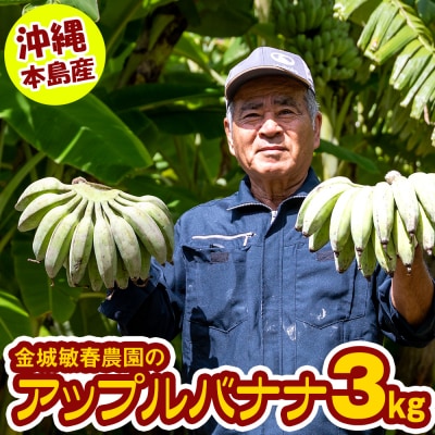 【沖縄本島産】金城敏春農園の「アップルバナナ」　3kg
