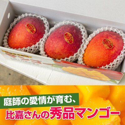 【2026年発送】比嘉マンゴーファームのアーウィンマンゴー　秀品(贈答用)1kg