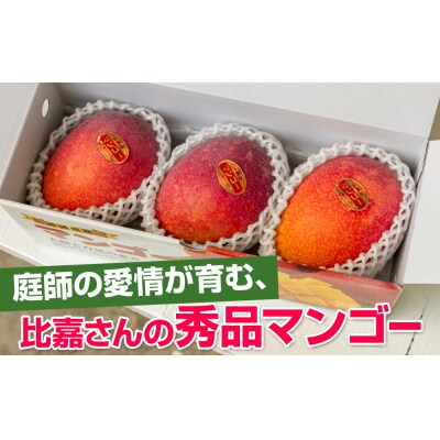 【2027年発送】比嘉マンゴーファームのアーウィンマンゴー 秀品(贈答用)1kg