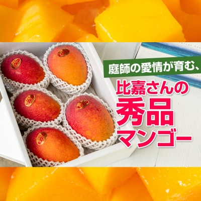 【2026年発送】比嘉マンゴーファームのアーウィンマンゴー　秀品(贈答用)2kg