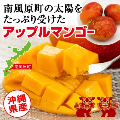 【2026年発送】比嘉マンゴーファームのアーウィンマンゴー　秀品(贈答用)2kg