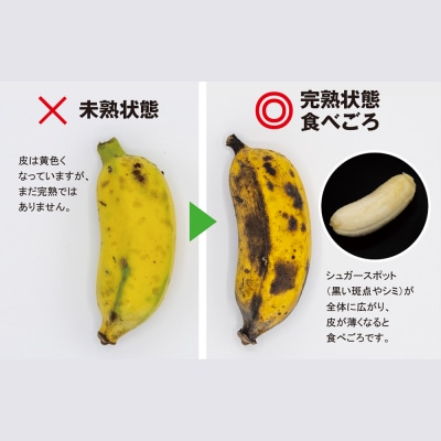南風原農園　アップルバナナ　2.5kg以上