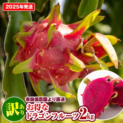 【2025年発送】訳あり　赤嶺保農園より直送　お得なドラゴンフルーツ2kg