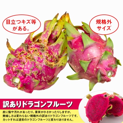 【2025年発送】訳あり　赤嶺保農園より直送　お得なドラゴンフルーツ2kg