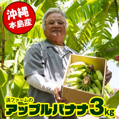 【沖縄本島産】浜ファームの「アップルバナナ」　3kg