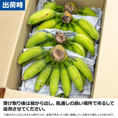 【沖縄本島産】浜ファームの「アップルバナナ」　5kg