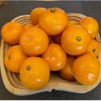温州みかん　約3kg