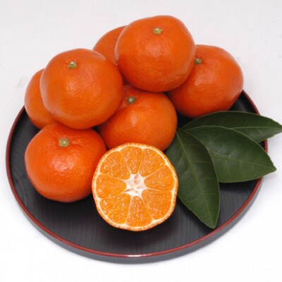 小原紅早生みかん(金時紅)　約2.5kg化粧箱入り