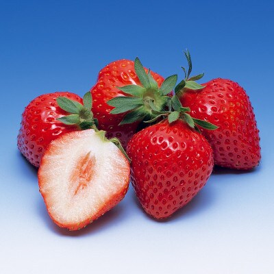 さぬきひめいちご　約1kg4パック